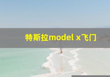 特斯拉model x飞门